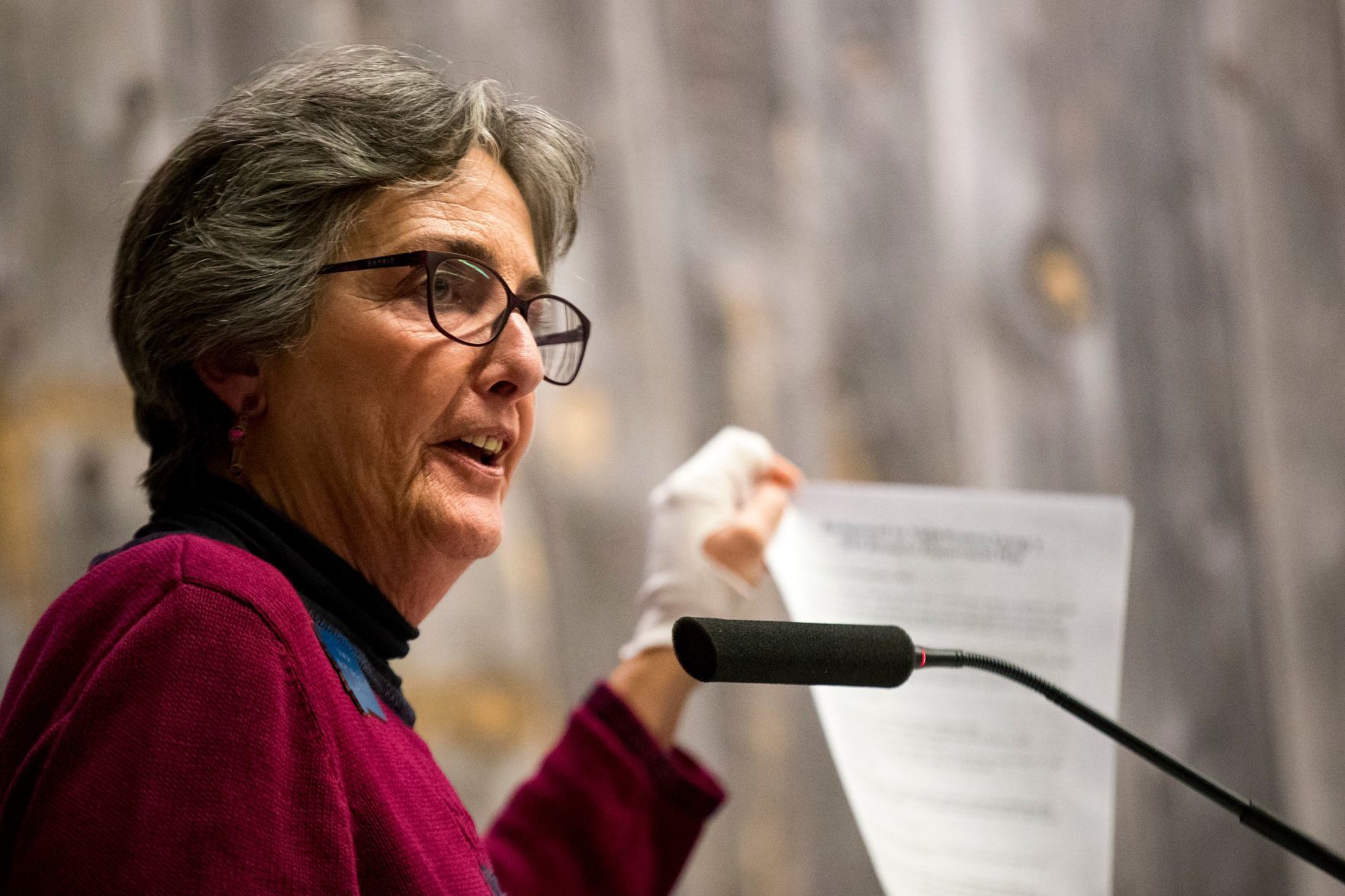 State Senator Mary McNally.